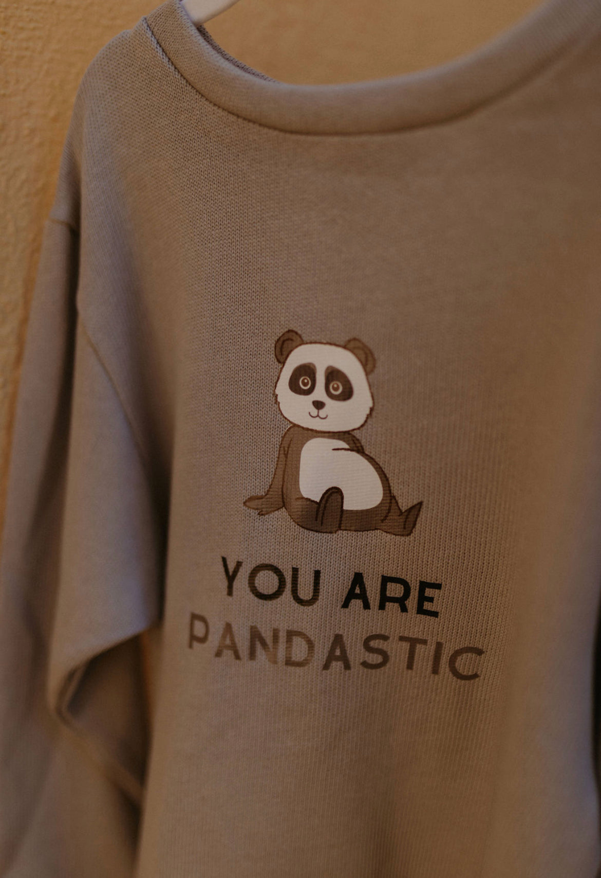 Strickpulli "You are Pandastic"