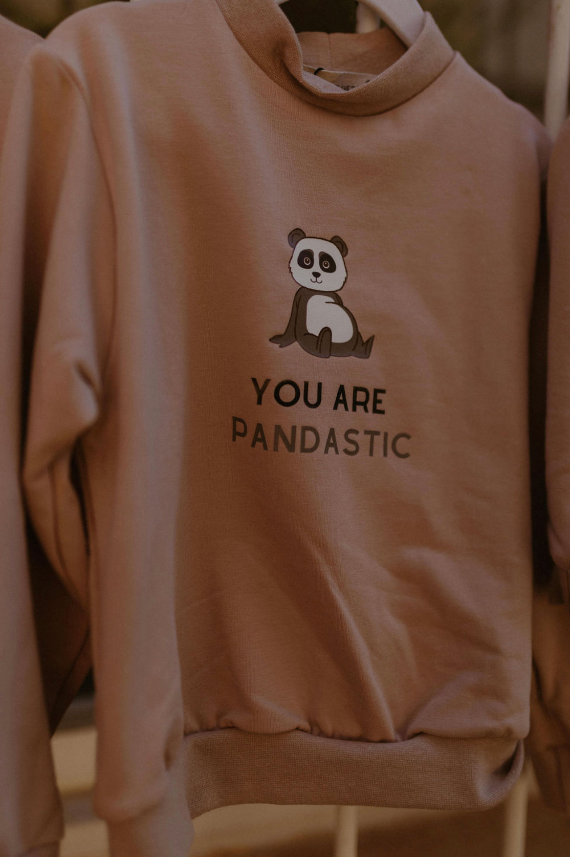 Sweater '"You are pandastic"